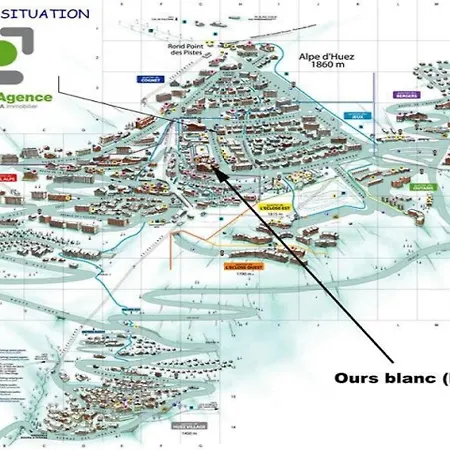 Ours Blanc * Alpe dʼHuez