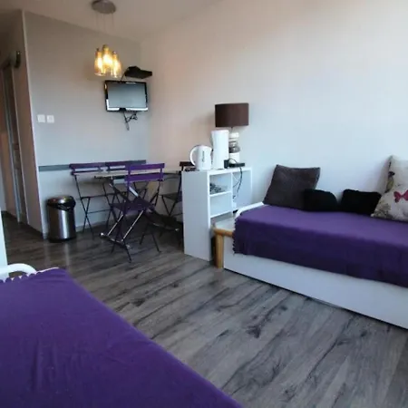 Ours Blanc Appartement